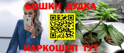 сатива Бузулук